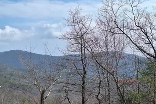 Lot2 Summit Pass, Chatsworth, GA 30705 - Photo 2