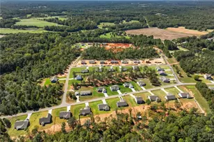 204 Rachel Ln, Hartwell, GA 30643 - Photo 36