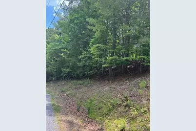 133 Adair Drive NE, Ranger, GA 30734 - Photo 6