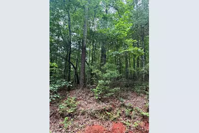 0 Nimblewill Creek Road, Dahlonega, GA 30533 - Photo 2