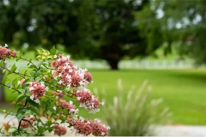 21 Willow Woods Road, Social Circle, GA 30025 - Photo 30