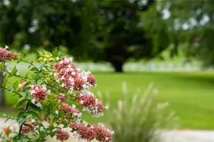 21 Willow Woods Rd, Social Circle, GA 30025 - Photo 30