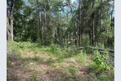 0000 St. Mary's River Bluff, Ltd, Saint George, GA 31562 - Photo 4