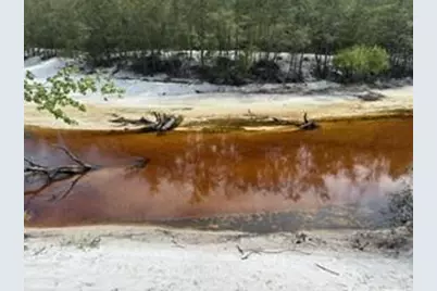 0000 St. Mary's River Bluff, Ltd, Saint George, GA 31562 - Photo 2