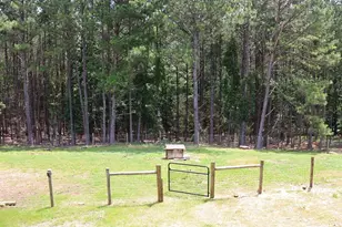 3129 Etchison Rd, Loganville, GA 30052 - Photo 46