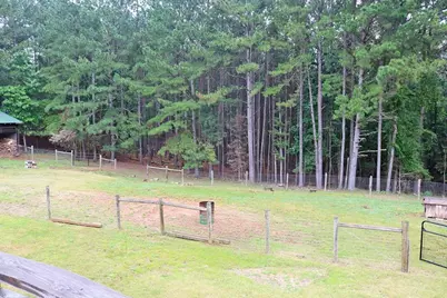 3129 Etchison Road, Loganville, GA 30052 - Photo 44