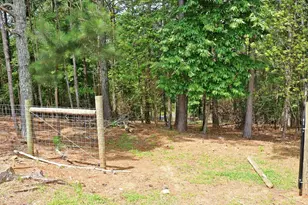 3129 Etchison Rd, Loganville, GA 30052 - Photo 54