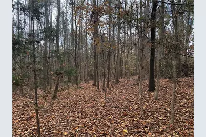 209 Alice Moss Lane, Alto, GA 30510 - Photo 8