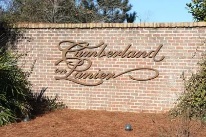 4142 Greyfield Bluff Drive, Gainesville, GA 30504 - Photo 8