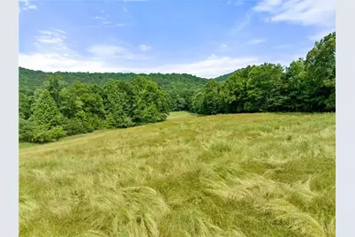 00 Partin Road, Cleveland, GA 30528 - Photo 6