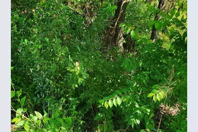 7564 Ball Ground Highway, Ball Ground, GA 30107 - Photo 28