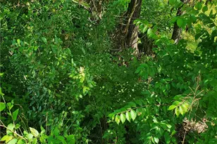 7564 Ball Ground Hwy, Ball Ground, GA 30107 - Photo 28