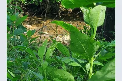 7564 Ball Ground Highway, Ball Ground, GA 30107 - Photo 38