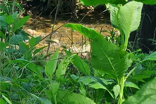 7564 Ball Ground Hwy, Ball Ground, GA 30107 - Photo 38