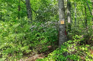 1447 Travis Smith Rd, Clarkesville, GA 30523 - Photo 12