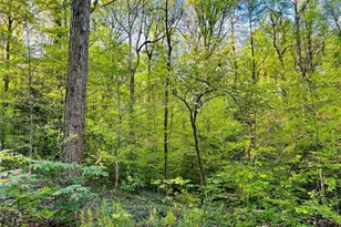 2455 Dodson Dr, Atlanta, GA 30344 - Photo 12