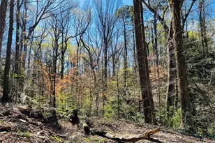 2455 Dodson Dr, Atlanta, GA 30344 - Photo 8