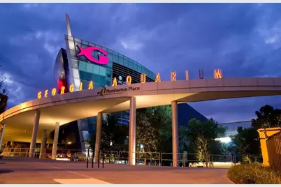 3285 Lions Ruby Lane, Atlanta, GA 30349 - Photo 28