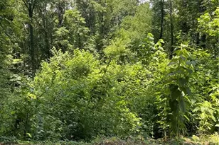 609 Ann Ct, Woodstock, GA 30188 - Photo 1