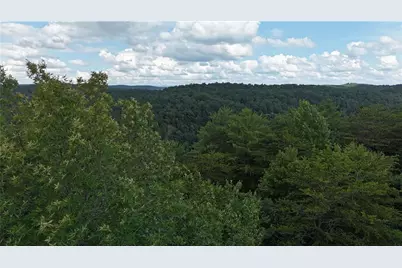 793 Woodbine Lane, Ranger, GA 30734 - Photo 4