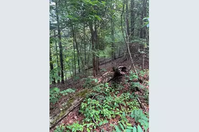 793 Woodbine Lane, Ranger, GA 30734 - Photo 10