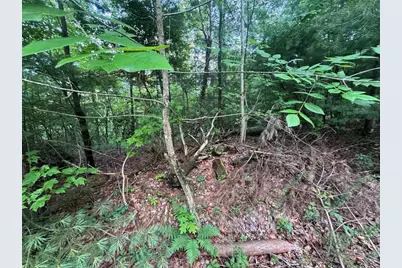 793 Woodbine Lane, Ranger, GA 30734 - Photo 8