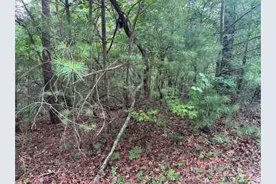 793 Woodbine Lane, Ranger, GA 30734 - Photo 12