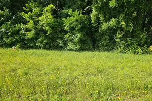 12103 Brown Bridge Rd, Covington, GA 30016 - Photo 1