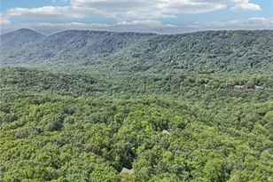 842 Columbine Dr, Big Canoe, GA 30143 - Photo 72