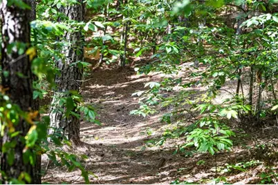 271 Postelle Road, Other-Tennessee, TN 37317 - Photo 24