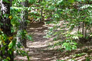 271 Postelle Rd, Other-Tennessee, TN 37317 - Photo 24