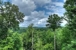 897 Faraday Dr, Ellijay, GA 30540 - Photo 2