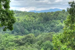 897 Faraday Dr, Ellijay, GA 30540 - Photo 60