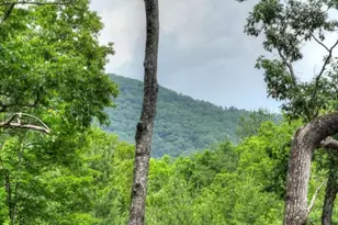 80 Harrison and Ada Rd, Blue Ridge, GA 30513 - Photo 44