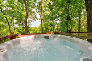 307 Pigeon Creek Rd, Blue Ridge, GA 30513 - Photo 4