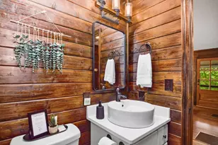 307 Pigeon Creek Rd, Blue Ridge, GA 30513 - Photo 36