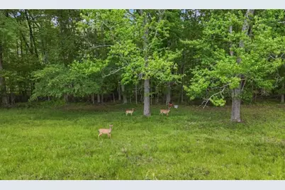 14501 Woolsey Road, Hampton, GA 30228 - Photo 140