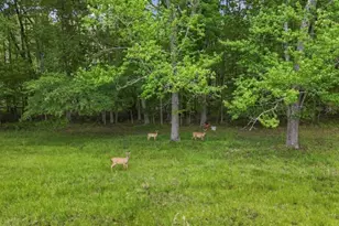 14501 Woolsey Rd, Hampton, GA 30228 - Photo 140