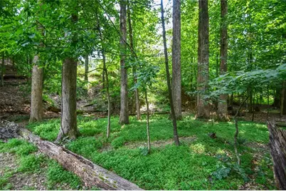 1173 Saint Charles Place, Gainesville, GA 30501 - Photo 68