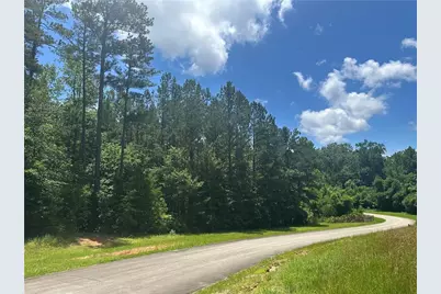 0 Elsberry Mountain Road, Dallas, GA 30132 - Photo 2