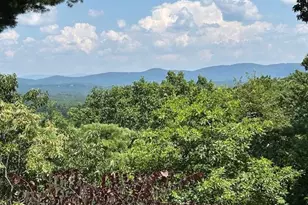 44 Sassafras Ridge, Big Canoe, GA 30143 - Photo 4