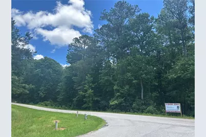 0 Elsberry Mountain Road, Dallas, GA 30132 - Photo 4