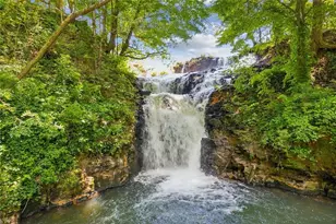 [Address not provided], Jasper, GA 30143 - Photo 72