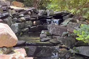 [Address not provided], Jasper, GA 30143 - Photo 50