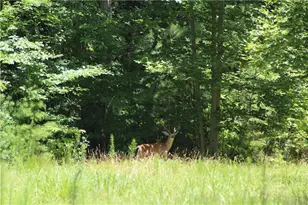 00000 Jumper Dr, Ellijay, GA 30540 - Photo 1