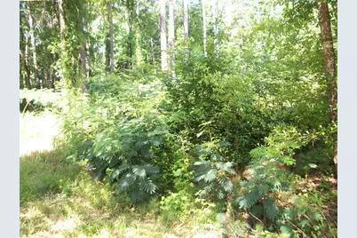 43 Shady Lane, Jackson, GA 30233 - Photo 2