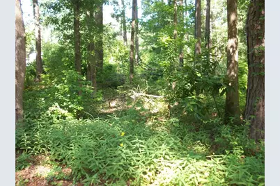 43 Shady Lane, Jackson, GA 30233 - Photo 6