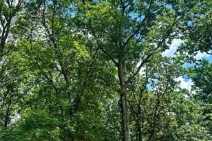 6394 Shore Dr, Douglasville, GA 30135 - Photo 10