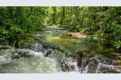 10323 Grassy Mountain Road, Ellijay, GA 30540 - Photo 1