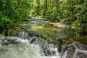 10323 Grassy Mountain Rd, Ellijay, GA 30540 - Photo 1